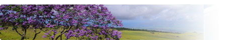 AXA Banner Responsabilidad Corporativa: Pilares: Medio ambiente