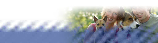 AXA Banner Particulares Seguro de Responsabilidad Civil Mascotas
