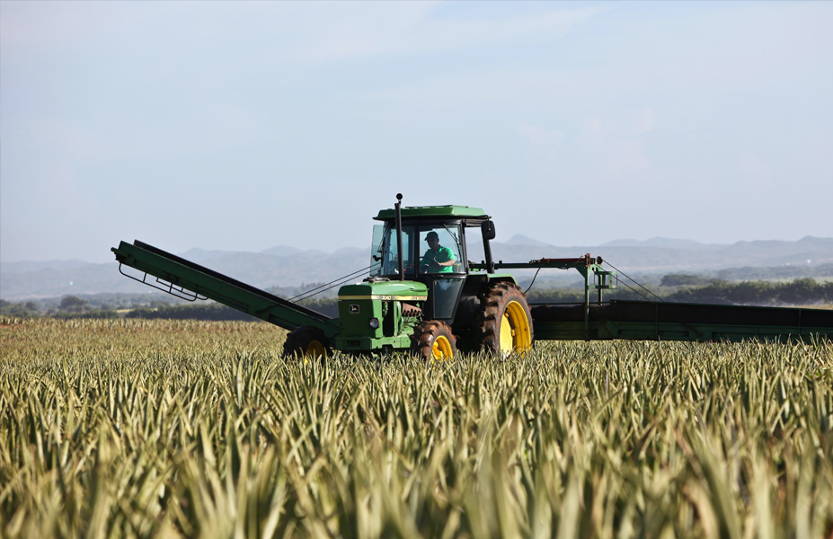 Imagen Seguro de Vehículos Agrícolas